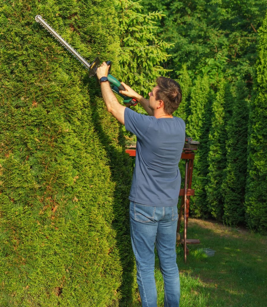 RR Landscaping and Tree Services crew serving Syracuse NY